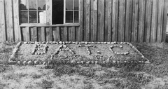2007-828 (untitled)